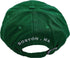 Grateful Dead Men's Standard Liquid Blue Baseball Hat, Green, One Size...