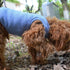 Lovelonglong 2019 Summer Pet Clothing, Dog Clothes Blank T-Shirts Ribbed Tanks Top Thread Vests for Large Medium Small Dogs 100% Cotton Powderblue...