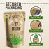 17 Herb Culinary Seed Vault - 5200+ Herbs Seeds for Planting Indoor or Outdoor Garden - Heirloom, Non GMO | Hydroponic Herb Garden Seeds with High...
