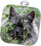 3D Rose Cute Image of Grey Domestic Cat People-Animal-Pet-Kitty Pot Holder, 8 x 8...
