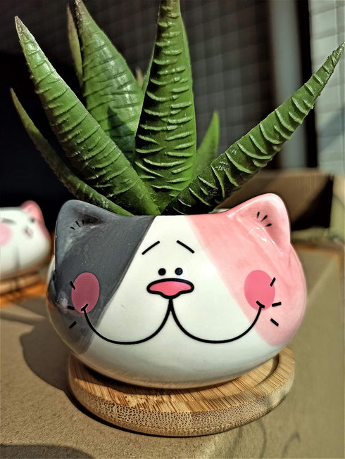 Cute 3.5 Inches Indoor Cartoon Animal Cat Shaped Ceramic Succulent Cactus Flower Plant Pots with Bamboo Tray (Plant Not Included) (Grey)...