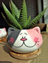 Cute 3.5 Inches Indoor Cartoon Animal Cat Shaped Ceramic Succulent Cactus Flower Plant Pots with Bamboo Tray (Plant Not Included) (Grey)...