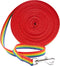 Downtown Pet Supply - Long Dog Leash - Dog Training Leash - Recall & Obedience Dog Training Tools - Nylon - 20 ft - Rainbow Dog Leash...