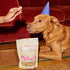 Poke's Birthday Cake Treats for Dogs, Limited Ingredient & Natural Dog Treats, Wheat-Free & Made in The USA, Peanut Butter & Vanilla Crunchy Biscu...