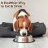 Funny The Boss Needs a Drink Engraved Stainless Steel Dog Bowl - Pet Food Dish Feeding for Dogs - Dog Water Dish - Durable Heavy Duty Pet Doglover...