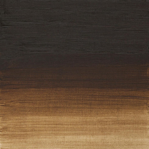 Winsor & Newton Artists' Oil Color, 37ml (1.25 oz) Tube, Raw Umber...