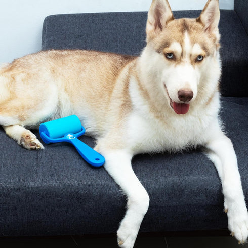 PetLovers EzRoll Reusable Lint Roller - Sticky for Life & Multi-Purpose Pet Hair, Dust, & Lint Remover for Clothing, Upholstery, & Cars - Sustaina...