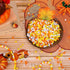 Whaline 1000Pcs Fall Pony Beads with 100Pcs Chenille Stems Pipe Cleaners 3 Colors Autumn Craft Beads Plastic Beads for DIY Craft Necklace Bracelet...