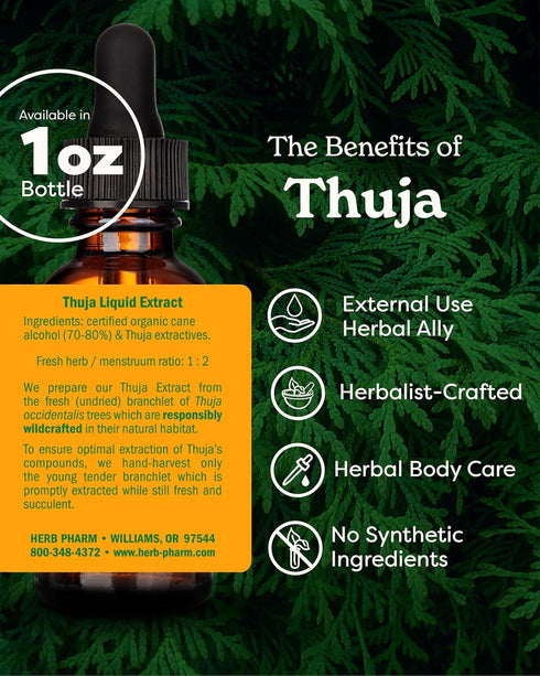 Herb Pharm Thuja Branchlet Liquid Extract - 1 Ounce (DTHUJA01)...