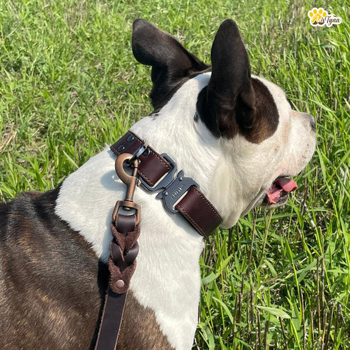 Heavy-Duty Leather Dog Leash 5.6 ft - Soft & Strong Training Dog Leashes for Small, and Medium (Brown, 5.6 ft x 5/8")...