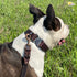 Heavy-Duty Leather Dog Leash 5.6 ft - Soft & Strong Training Dog Leashes for Small, and Medium (Brown, 5.6 ft x 5/8")...