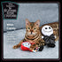 Tim Burton's The Nightmare Before Jack and Sally Catnip Kicker Cat Toys- 2PK | Cat Toys with Catnip | Nightmare Before Christmas Movie Toys for Ca...