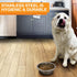 Neater Pet Brands Stainless Steel Dog and Cat Bowls (2 Pack) Neater Feeder Medium Deluxe Extra Replacement Bowl (Metal Food and Water Dish) (5 Cup...