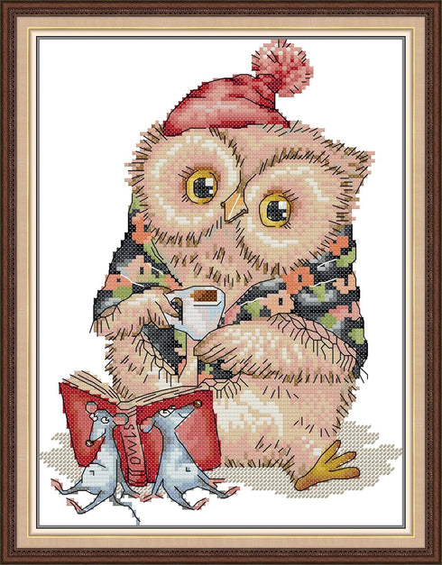 Stitchmelody Stamped Cross Stitch Kits,11CT Printed Pattern DMC Embroidery Kit-Learning Owl 28cm×38cm...