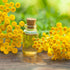 Outsidepride 5000 Seeds Perennial Tanacetum Vulgare Tansy Herb Garden Seeds for Planting...