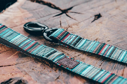 Embark Urban Dog Leashes - Colorful, Strong and Sturdy Nylon Dog Leashes for Small Dogs, Dog Leashes Medium Dogs and Dog Leashes Large Breed Dogs,...