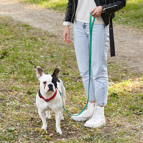Dogline Biothane Waterproof Dog Leash Strong Coated Nylon Webbing with Black Hardware Odor-Proof for Easy Care Easy to Clean High Performance for ...