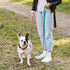 Dogline Biothane Waterproof Dog Leash Strong Coated Nylon Webbing with Black Hardware Odor-Proof for Easy Care Easy to Clean High Performance for ...