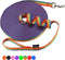 Hi Kiss Dog/Puppy Obedience Recall Training Agility Lead - 15ft 20ft 30ft 50ft 100ft Training Leash - Great for Training, Play, Camping, or Backya...