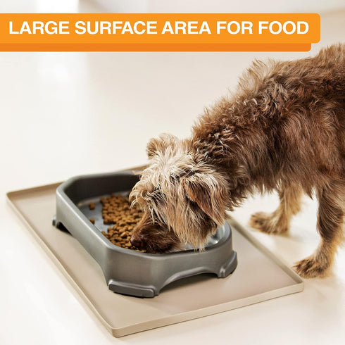 Neater Pet Brands Big Bowl - Extra Large Bowl for Cats or Small Dogs - Large Surface Area (8 Cups Capacity, Gunmetal Grey)...