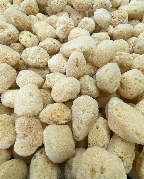 Soft Natural 6 Silk Sponges 1.5"-3" Cosmetic Makeup Application Removal Face Eye Nail Cleaning Like Cotton Balls Awesome Aquatic Creating The Perf...