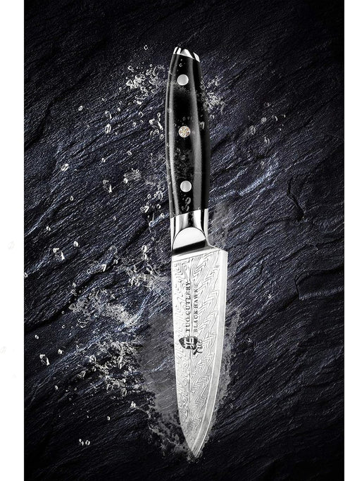 TUO Paring Knife 3.5 Inch - Ultra Sharp Peeling Knife - High Carbon Stainless Steel - Full Tang G10 Handle with Gift Box - Black Hawk S Series...