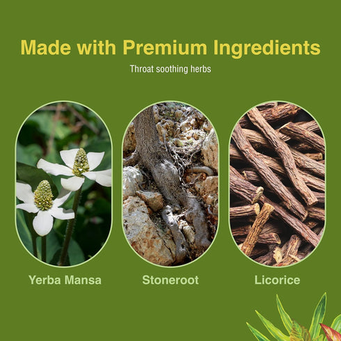 Herbs Etc. Singer's Saving Grace Extra Strength - Herbal Remedy Spray Aids Throat Comfort & Health - Soothing Hydrating Throat Support - Throat Re...