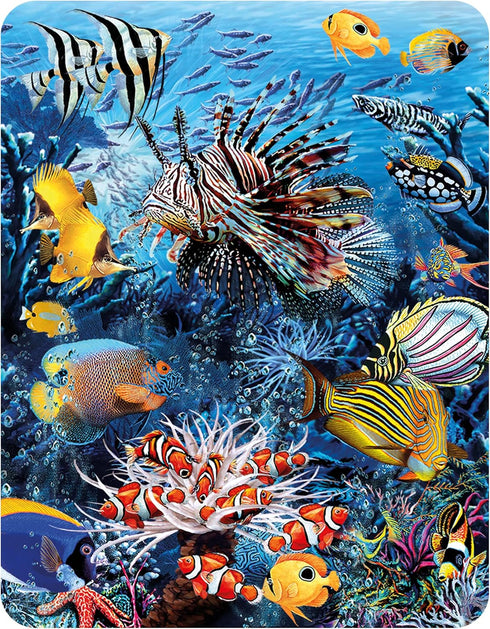 Magnet - Wonders of The Reef from Deluxebase. Lenticular 3D Coral Reef Fridge Magnet. Magnetic Decor for Kids and Adults with Artwork Licensed fro...