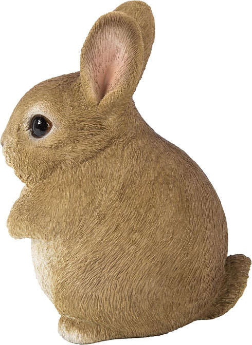 Hi-Line Gift 87685-C Chubby Rabbit Standing...