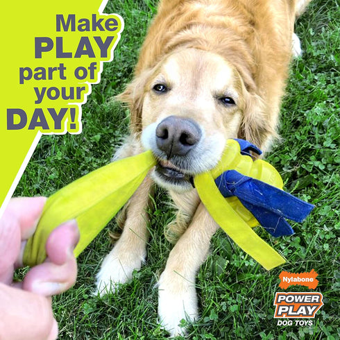 Nylabone Power Play Tennis Teddy Gripz Bear Dog Toy Teddy Medium (1 Count)...