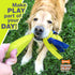 Nylabone Power Play Tennis Teddy Gripz Bear Dog Toy Teddy Medium (1 Count)...