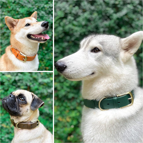 Tuff Pupper Classic Heavy Duty Dog Collar | 10x Stronger Than Leather | 100% Waterproof & Odor Proof Dog Collar | Tough Rust-Proof All Metal Hardw...