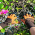 Gardening Gloves with Claws, Waterproof, Breathable, for Digging Planting, Puncture Resistant, Best Gifts for Women....