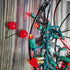 Christmas Lights 50 Red LED 17FT Mini LED string Lights, 120V UL, Green Wire XMAS Lights for Indoor & Outdoor Use, Holiday Party Decorations, Tree...
