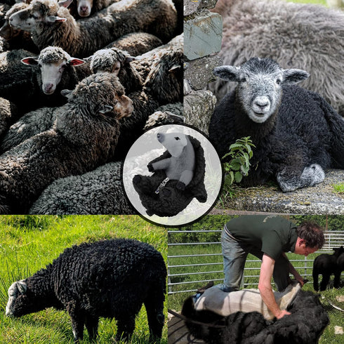 AGRIMONY Cute Shaved Black Sheep Stuffed Animals-Kawaii Lamb Plush Toys Valentines Mothers Day Birthday Easter Funny Gifts for Kids Girls Boys Tee...