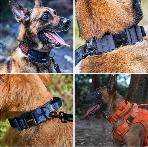 Tough Dog Collars, Tactical Dog Collar with Handle, Milltary Adjustable Dog Collar with Heavy Duty Metal Buckle for Training (Medium(Pack of 1), O...