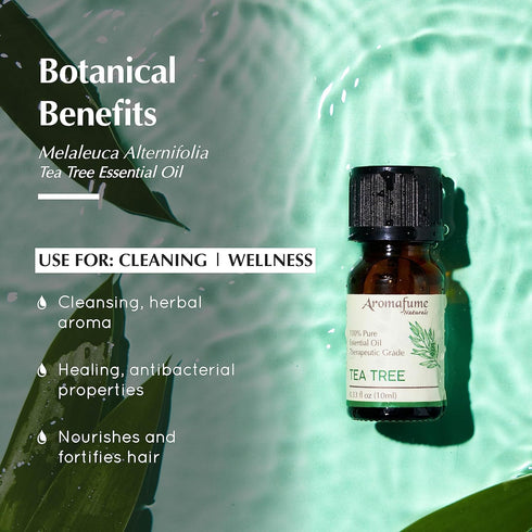 AROMAFUME Tea Tree Essential Oil - 100% Natural, Therapeutic Grade Essential Oils - Pure, Healing Aromatherapy Oil for Home Diffusers - Gifts for ...