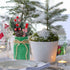 CNVOILA Christmas Centerpiece 3PC Set: Mason Jars, Table Decorations, Home & Coffee Table Decor...