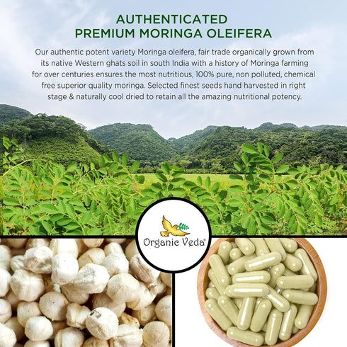 Organic Veda Moringa Seed Capsules, 1000mg - 100% Natural Moringa Seed Powder with Nutrients, Antioxidants, Vitamins, Minerals & Enzymes - Glowing...