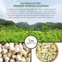 Organic Veda Moringa Seed Capsules, 1000mg - 100% Natural Moringa Seed Powder with Nutrients, Antioxidants, Vitamins, Minerals & Enzymes - Glowing...