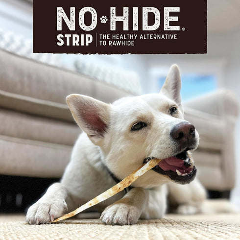Earth Animal No Hide Strips Pumpkin Spice Flavored Vegetarian Natural Treats | No Rawhide | Quick & Thin Dog Chews | 1 Pack, 4 Count...