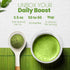 Matcha Wellness Superior Culinary Grade Organic Matcha Powder – 3.5oz Authentic Japanese Green Tea Powder from Kyoto – Perfect for Matcha Lattes, ...