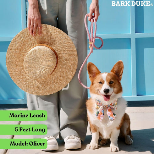 5FT Baby Pink Marine Dog Leash - Durable Brass Hook, Indestructible Braided Rope, Ideal for Puppies, Small, Medium, Large Dogs...