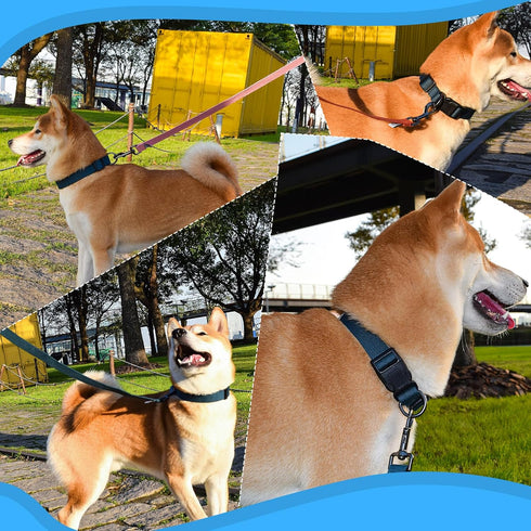 Blue Dog Collar and Leash Set, Breathable Bamboo Fiber Adjustable Dog Collar and 4Ft Dog Leash for Medium Dog Daily Walking...