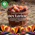 Air Wick Vibrant Plug in Scented Oil Refill, 5ct, Nectarine & Paradise Flower, Air Freshener, Essential Oils...