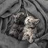 Utopia Bedding Fleece Blanket Throw Size Grey 300GSM Luxury Anti-Static Fuzzy Soft Microfiber Blanket for Couch, Sofa and Bed (60x50 Inch)...