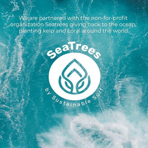 Moringa Seed Facial Oil Drops Super Moisturizing Antioxidant-Rich Glow with Sea Kelp & Vitamin E - Daily Face Primer & Replenishing Vegan Skincare...