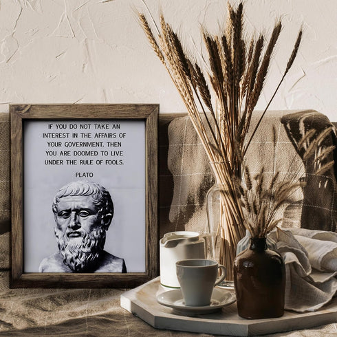 Posterizer 1 pcs-Take Interest In Your Government-Plato-Motivational & Inspirational Art-Gift for Patriots, America Fans-Decor for Home & Office- ...