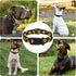 Dog Collar for Boys Girls, Sunflower Puppy Collar for Small Medium Large Dogs, Adjustable Soft Floral Pet Collar with Safety Buckle for Male Femal...