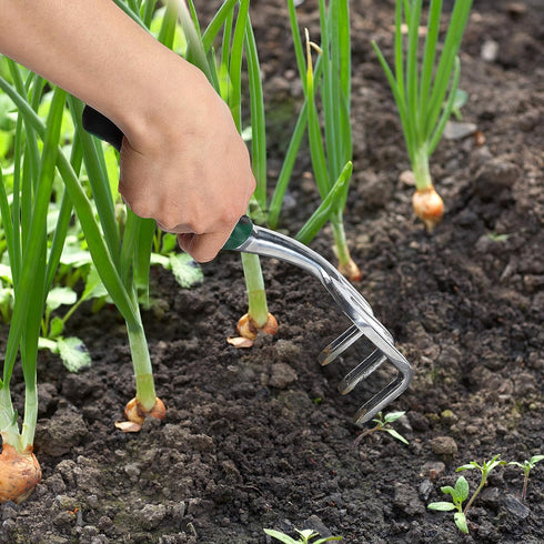 Mr. Pen- Garden Hand Cultivator, Mini Hand Rake, Hand Rake Garden Tool, Hand Cultivator, Cultivator, Hand Held Cultivator, Garden Cultivator, Gard...